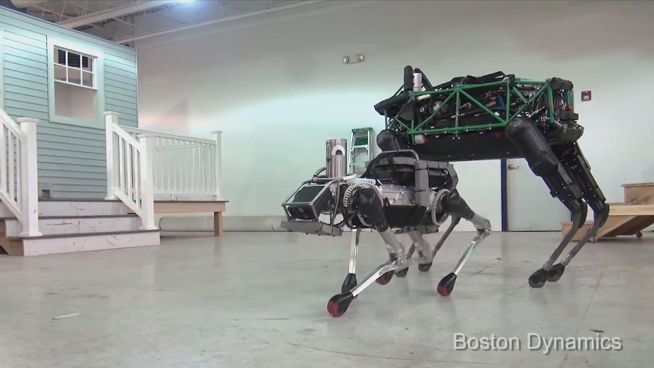 Niedlicher Roboter: Spot bekommt kleinen Bruder