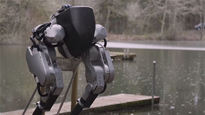 Roboter Cassie steht mit beiden Beinen im Leben