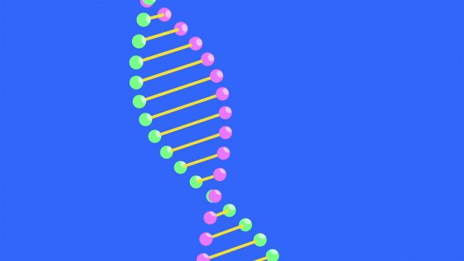 Alles Wissen im Eimer: Experten bauen DNA-Datenspeicher